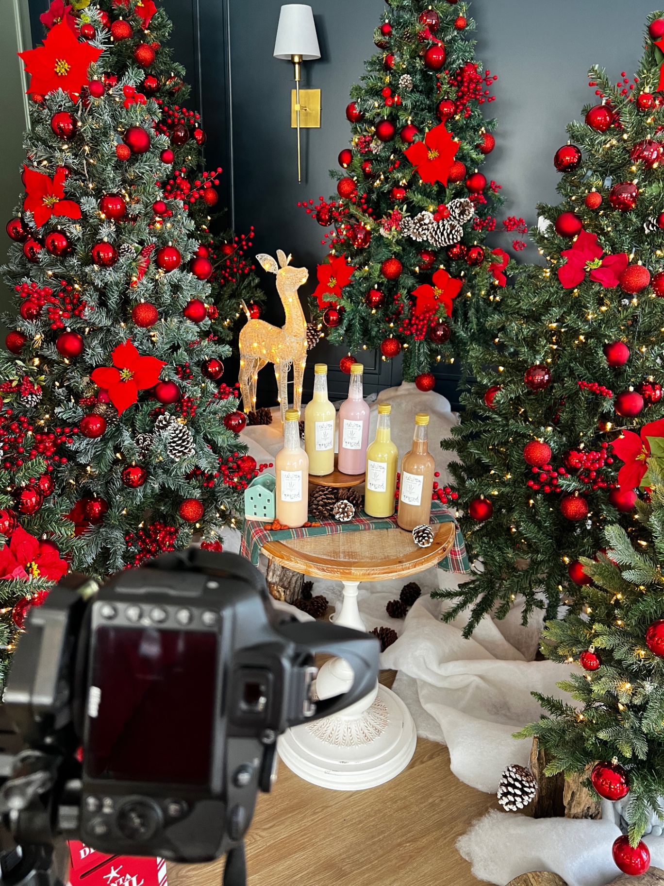 Setup navideño con cámara